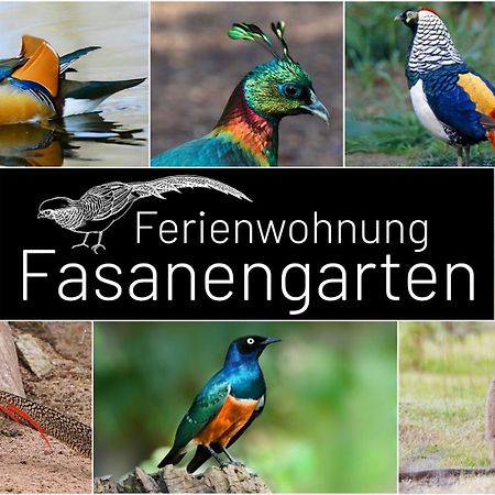 Fasanengarten In เทราน์รอยท์ ภายนอก รูปภาพ