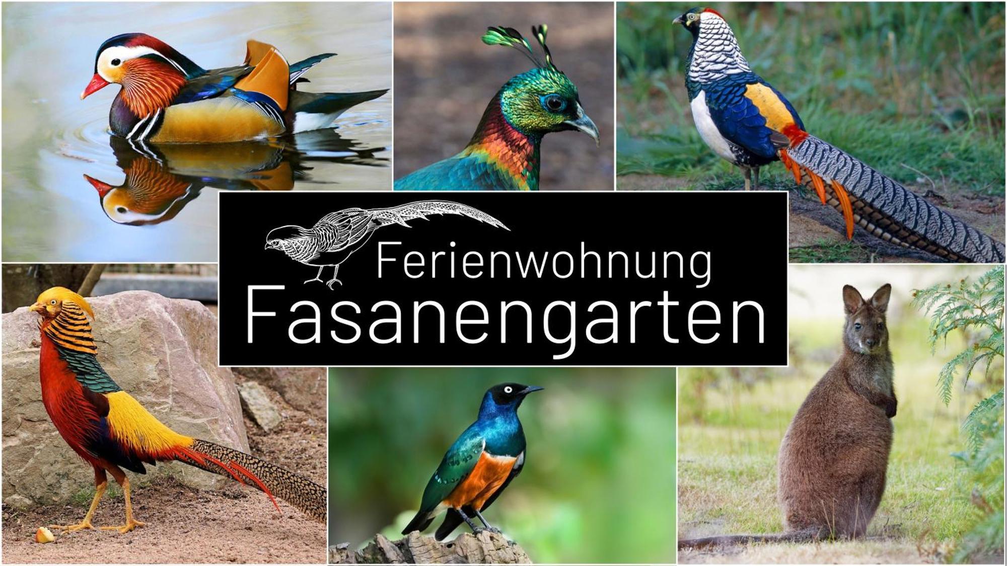 Fasanengarten In เทราน์รอยท์ ภายนอก รูปภาพ